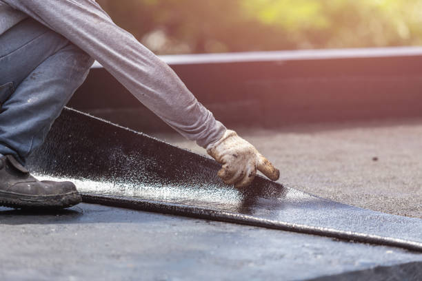 Professional Interior Drainage System technician working in Holland, NY
